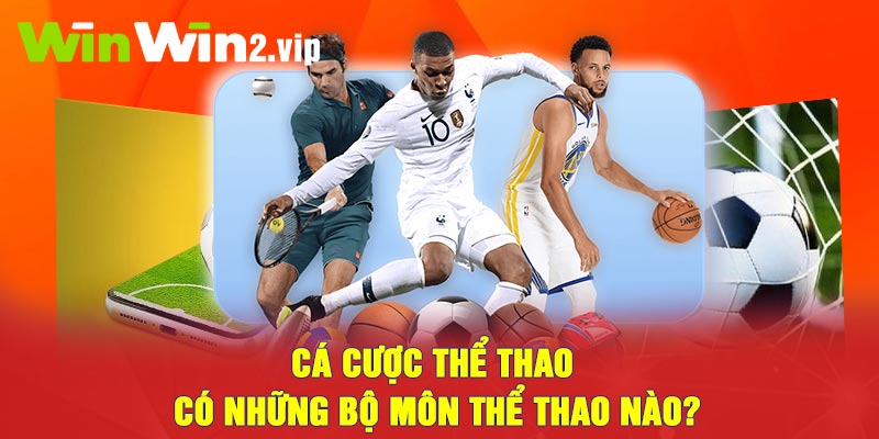 Cá cược thể thao có những bộ môn thể thao nào?