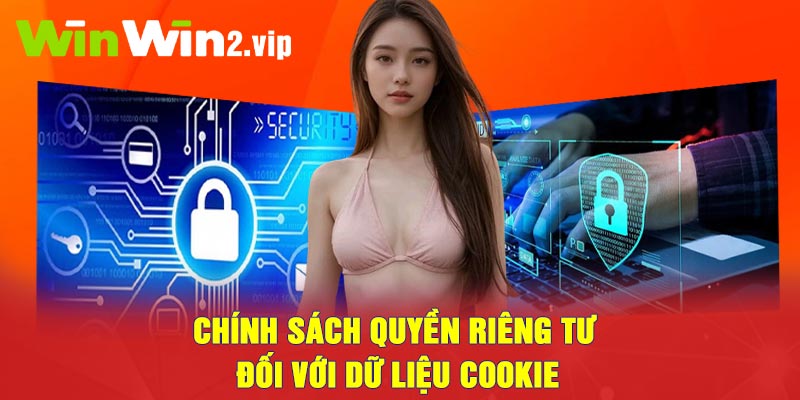 Chính sách quyền riêng tư đối với dữ liệu cookie