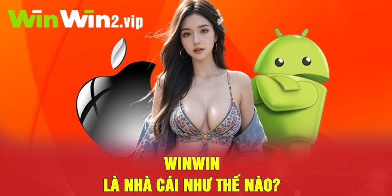 Winwin là nhà cái như thế nào? 